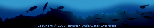 Copyright 2005 Hamilton Underwater Enterprise